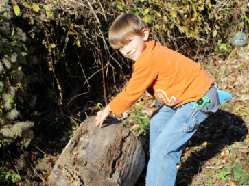 tbt-critter-catchers-slideshow-01