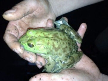 tbt-home-school-slideshow-02